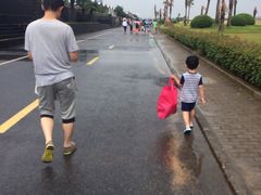 -碧海金沙