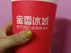 -蜜雪冰城(长清大学城店)