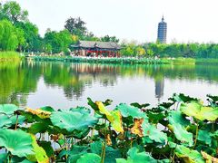 -西海子公园