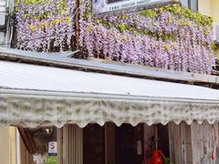 门面-雅憩花园餐厅