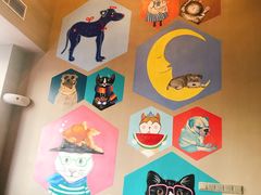 -MOLLY'S萌宠生活馆