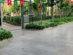 -南宫五洲植物乐园