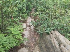 -南山植物园