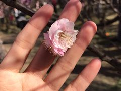 -蜀冈西峰生态公园