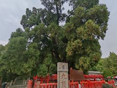 -四门塔风景区