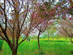 -古柏渡飞黄旅游区