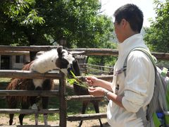 SDC12058-西安秦岭野生动物园