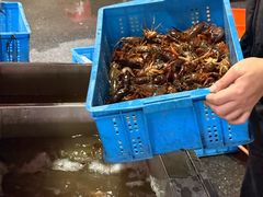 -陈帅夜排档·龙虾·炒菜·烤串(世茂店)