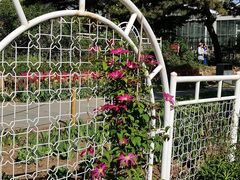 -国家植物园南园