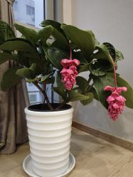 -酉嘉瑜伽YO+YOGA