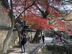 -青岛崂山太清宫