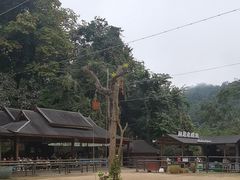 -野象谷景区