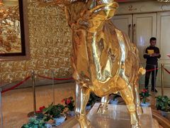 -华西龙希大酒店旅游观光区