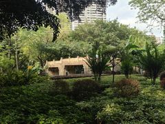 -晓港公园