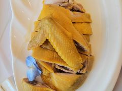 -骏莱海鲜鱼港(五角场店)