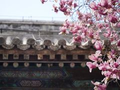 -潭柘寺景区