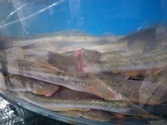 -蓝珊甄选海鲜自助·火锅大排档(近阿那亚店)
