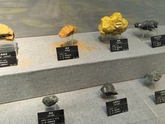 -甘肃地质博物馆