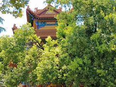 -宝通禅寺