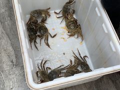 -水岸居湖景农家乐·阳澄湖大闸蟹