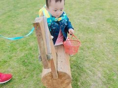 -前小桔亲子创意农场·草莓采摘·露营烧烤