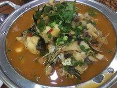 -全乐鱼馆·淳牌有机鱼直营店