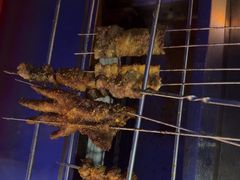 -古彭7只羊·招牌白串·碳锅羊肉旗舰店