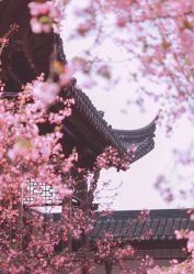 -雅曼妮spa美容养生