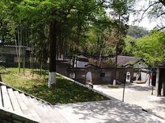 -镇江市南山风景名胜区竹林景区