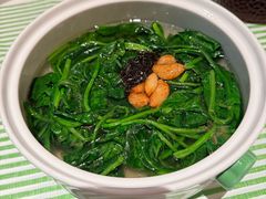 春水照鸡汤时疏-桂满陇·杭州饭店(清河万象店)