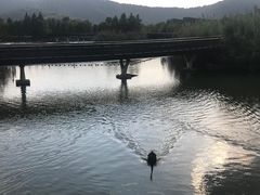 -上方山森林动物世界