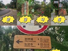 -深圳仙湖植物园