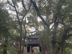 -蒋氏故居