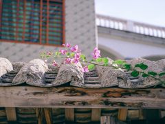 -三亚西岛海洋文化旅游区