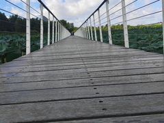 -哈尔滨大剧院