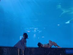 -海合安成都极地海洋公园
