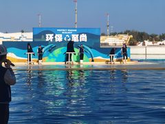 -秦皇岛乐岛海洋王国