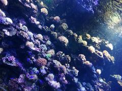 -北海·海洋之窗