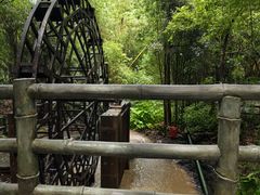 -大屏嶂森林公园