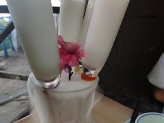 -探窝·竹笙椰子鸡(杨箕店)