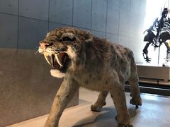 -自然博物馆新馆2楼餐厅