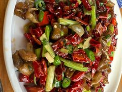 -青城甲(青城山店)