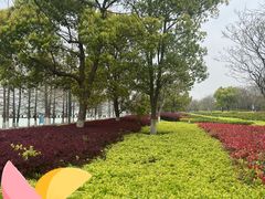 -苏州东太湖生态园