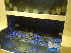 水产区-起士林西餐厅(东经路店)