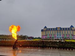 -百万葵园