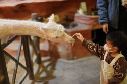 -酷嗒动物文化乐园(cutezoo西溪乐天城店)