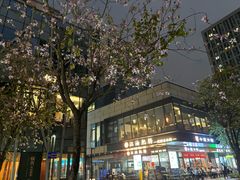 -广州绿地中央广场