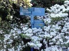 -墨尔本皇家植物园
