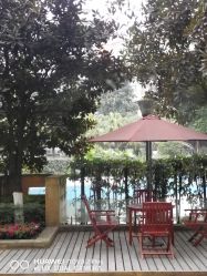 -榕树上·瑜伽普拉提