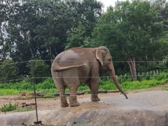 -清迈夜间动物园